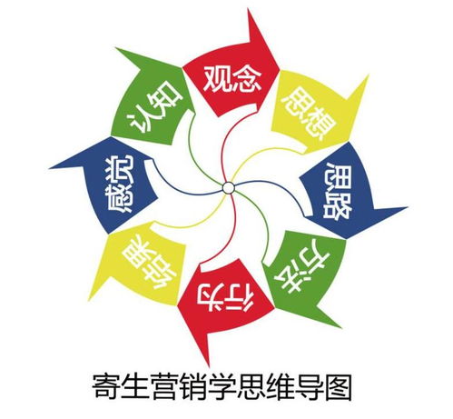 福建教育小程序與打車軟件開發 定制化解決方案與模板應用